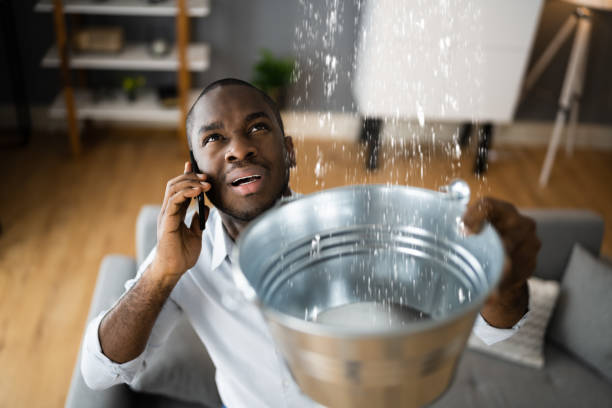 Best Water damage restoration near me  in Margaret, AL
