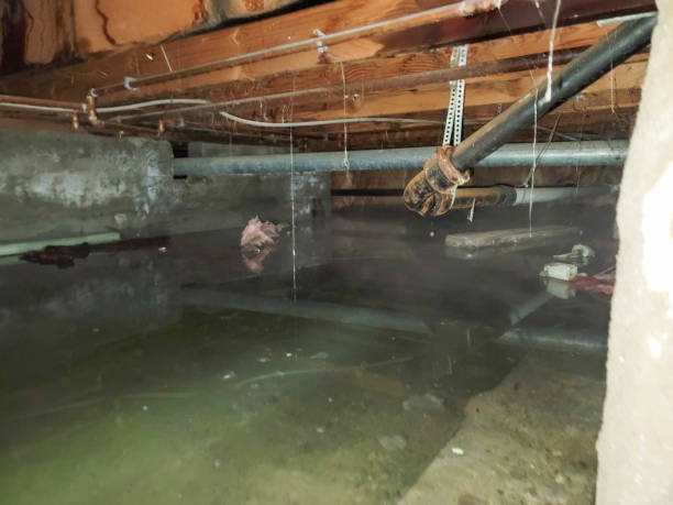 Fire Damage Restoration in AL