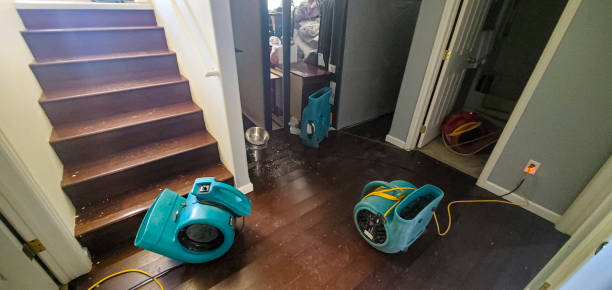 Local water damage restoration in AL