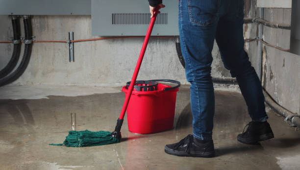 Best Flood restoration services  in Margaret, AL