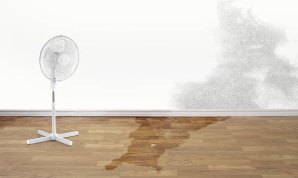 Best Fire Damage Restoration  in Margaret, AL