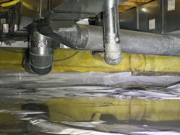 Best Carpet water damage restoration  in Margaret, AL