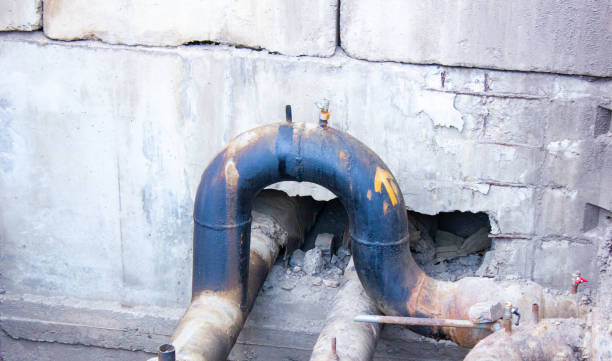 Best Water damage restoration cost  in Margaret, AL